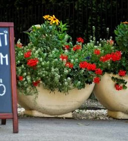 Tópart Hotel étterme