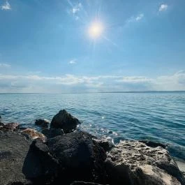 Világos Hotel Balatonvilágos - Egyéb