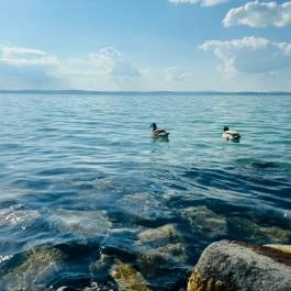 Világos Hotel Balatonvilágos - Egyéb