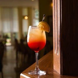 Világos Hotel Balatonvilágos - Egyéb