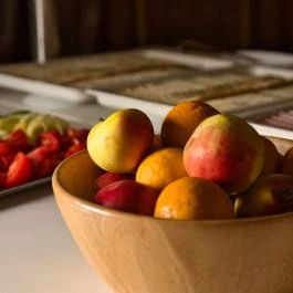 Világos Hotel Balatonvilágos - Egyéb