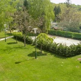 Világos Hotel Balatonvilágos - Medence/kert