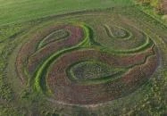 Bálványosi Tulipánszüret Bálványos