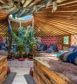 Bálványosi Tulipánszüret