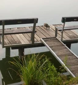 Oswald Studio Apartman