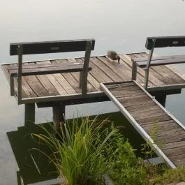 Oswald Studio Apartman Bánk - Környék