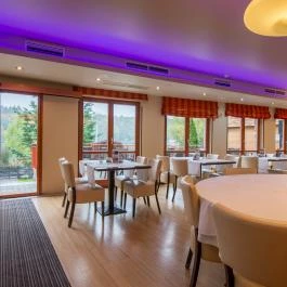 Tó Wellness Hotel Bánk - Vendéglátás