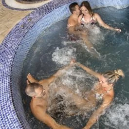 Tó Wellness Hotel Bánk - 