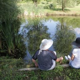 Tó Wellness Hotel Bánk - Egyéb