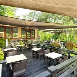 Tó Wellness Hotel Bánk - Medence/kert