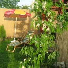 Akácos Vendégház Bátonyterenye - Medence/kert