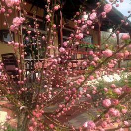 Bonne Chance Hotel étterme Bázakerettye - Egyéb