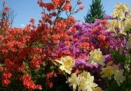 Azálea Vendégház Bázakerettye