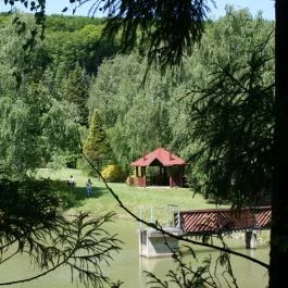 Azálea Vendégház Bázakerettye - Medence/kert