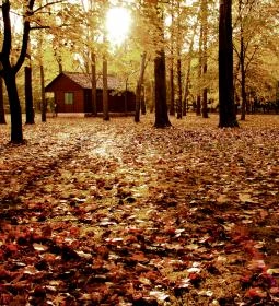 Dánfoki Üdülőközpont Faház