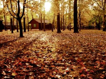 Dánfoki Üdülőközpont Faház Békés