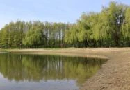 Dánfoki Üdülőközpont Faház Békés