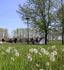 Dánfoki Üdülőközpont Ifjúsági szállás