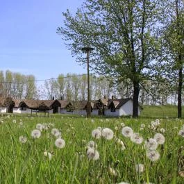 Dánfoki Üdülőközpont Ifjúsági szállás Békés - Egyéb