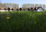 Dánfoki Üdülőközpont Ifjúsági szállás Békés