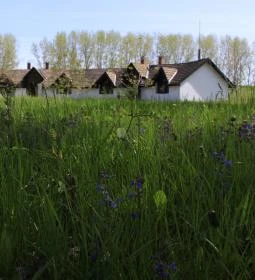 Dánfoki Üdülőközpont Ifjúsági szállás