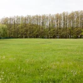 Dánfoki Üdülőközpont Ifjúsági szállás Békés - Egyéb