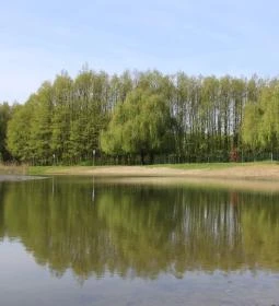 Dánfoki Üdülőközpont Panzió