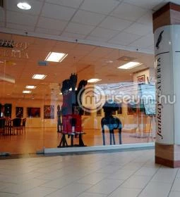 Jankay Gyűjtemény és Kortárs Galéria