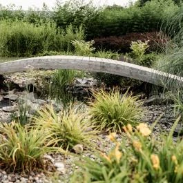 Arcanum Hotel Békéscsaba - Egyéb