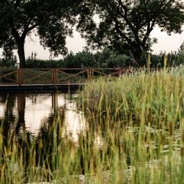 Arcanum Hotel Békéscsaba - Egyéb