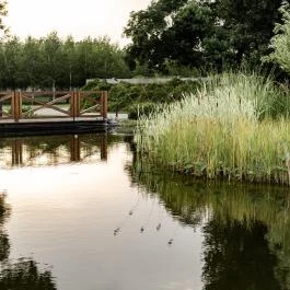 Arcanum Hotel Békéscsaba - Egyéb