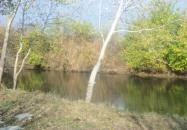 Aktív Pihenés Vendégház Békésszentandrás