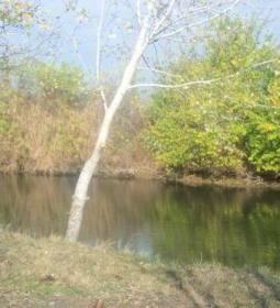 Aktív Pihenés Vendégház