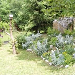 Erdei-lak Üdülőház Bélapátfalva - Medence/kert