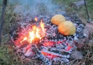 Fenyves Vendégház Bélapátfalva