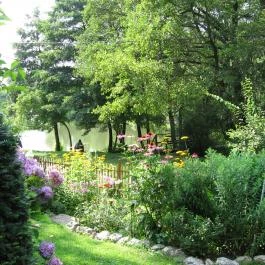 Fenyves Vendégház Bélapátfalva - Medence/kert