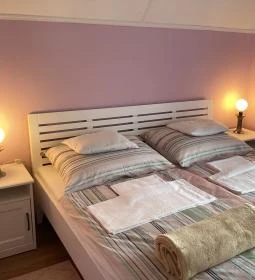 Family Apartman Berekfürdő