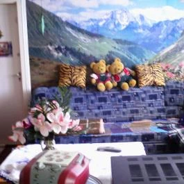 Fazekas Vendégház Berekfürdő - Belső