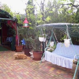 Fazekas Vendégház Berekfürdő - Medence/kert