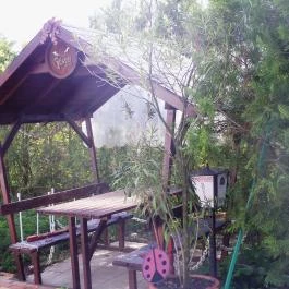 Fazekas Vendégház Berekfürdő - Medence/kert