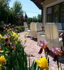 Termál Hotel Pávai