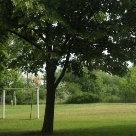 Hotel Fremon Berente - Egyéb