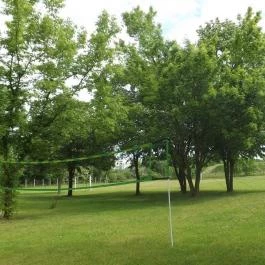 Hotel Fremon Berente - Egyéb