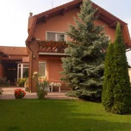 Hotel Angela Berettyóújfalu - Medence/kert