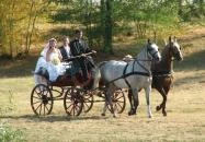 Zichy Park Hotel - Borostyán Étterem Bikács