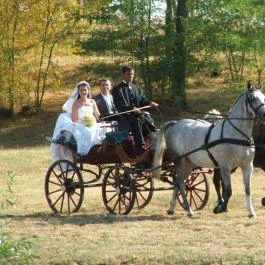 Zichy Park Hotel - Borostyán Étterem Bikács - Egyéb