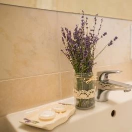 Zichy Park Hotel Bikács - Szobák