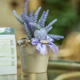 Zichy Park Hotel Bikács - Vendéglátás