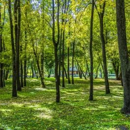 Zichy Park Hotel Bikács - Egyéb