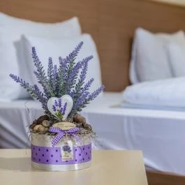 Zichy Park Hotel Bikács - Egyéb